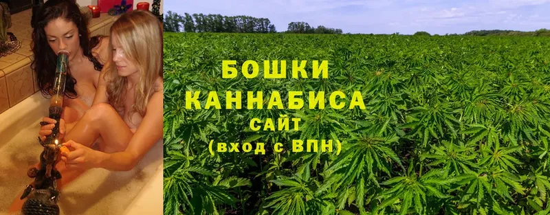 Бошки Шишки SATIVA & INDICA  Советский 